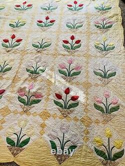 1930-1940's Hand Stitched And Quilted TULIP Appliqué Quilt with SCALLOPED BORDER
