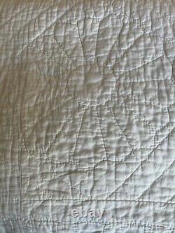 Antique Hand Quilted Dresden Plate Signature Quilt With Hanging Rod Sleeve 1933