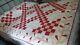 Antique Quilt, Applique Leafy Vine & Patchwork, Red, Brown, White, Hand-quilted