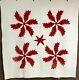 Christmas Red! Pa C 1900 Princess Feather Applique Star Quilt Antique Lancaster