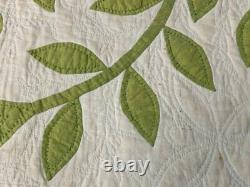 Early! C 1850s Green APPLIQUE Whig Rose Quilt Antique Fine Quilting Maryland PA