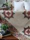 Early C1840 Pa Pre Civil War Chintz Compass Quilt 90x87 Quilted To Death