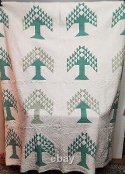 Vintage 1930s Hand Stitched Green White Tree of Life Cotton Quilt 86x84 FOLK ART