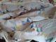 Vintage Handmade Quilt Flying Geese 80 X 80 Soft Pastel Colors