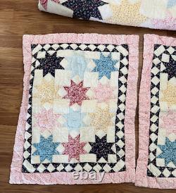 Vintage Missouri Daisy Floral Handmade Quilt & Two Matching Shams (Queen) 72x90