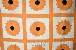 WELL QUILTED Vintage 30's Dresden Plate Antique Quilt Sunflower Design